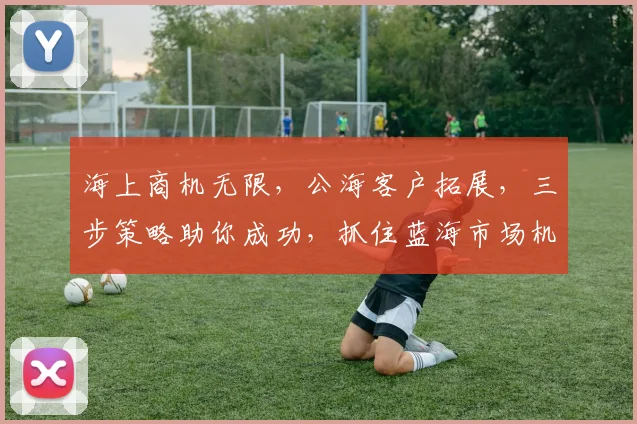海上商机无限，公海客户拓展，三步策略助你成功，抓住蓝海市场机遇，共赢未来