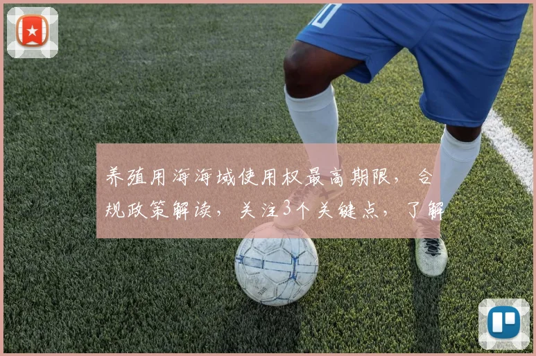 养殖用海海域使用权最高期限，合规政策解读，关注3个关键点，了解期限细节