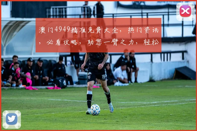 澳门4949精准免费大全，热门资讯，必看攻略，助您一臂之力，轻松玩转澳门