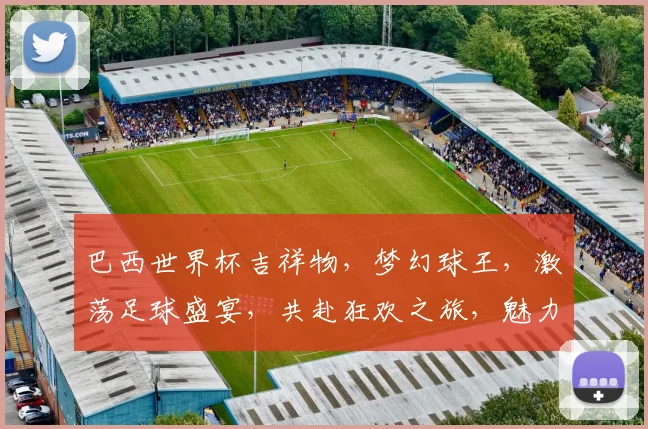 巴西世界杯吉祥物，梦幻球王，激荡足球盛宴，共赴狂欢之旅，魅力无限